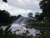 Walter J Blackburn Memorial Fountain
