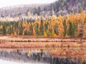 Start of the Breakdown