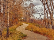 previous entry