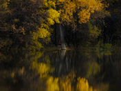 Red River Reflections