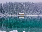 Snow Falling At Lake Louise