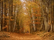 Mono Cliffs Provincial Park