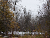 Between Fall and Winter