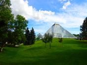 The Muttart Conservatory