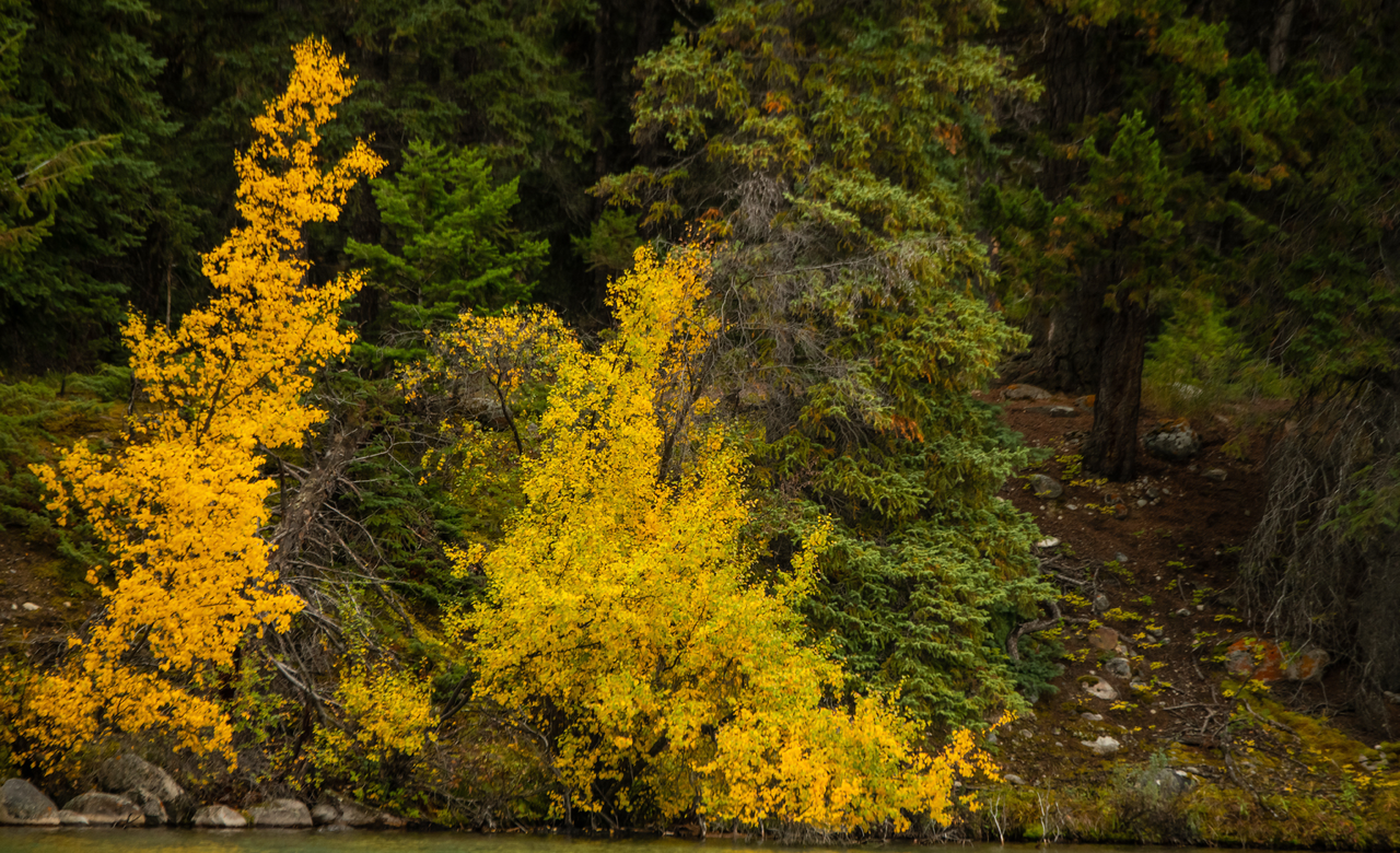 Fall Scenic 1