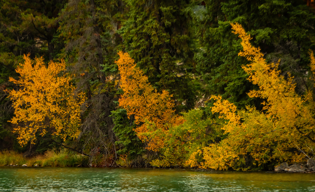 Fall Scenic 2