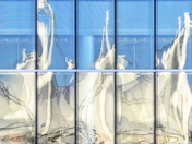 Canada Place Reflection