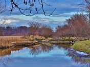 December hike along Spencer Creek.