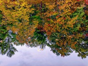 Fall Reflections
