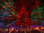 Happy Holidays to One and All