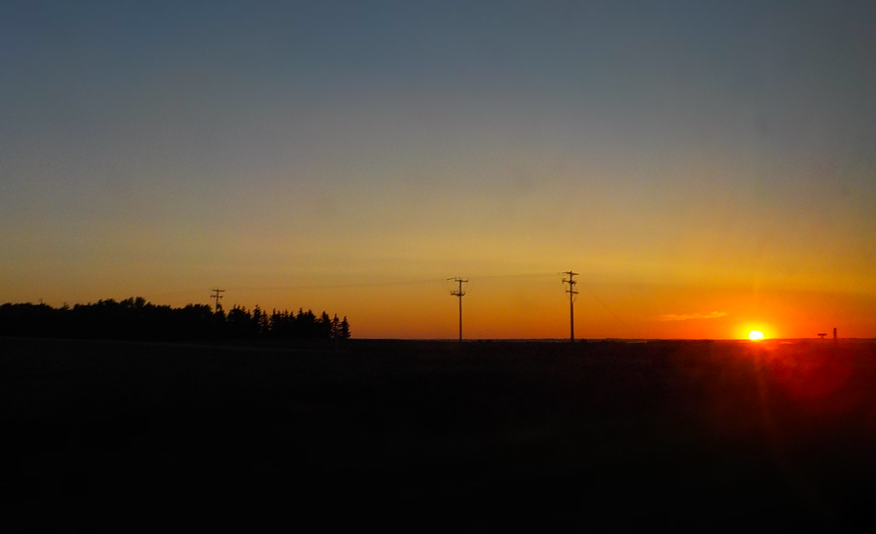 Early Drive