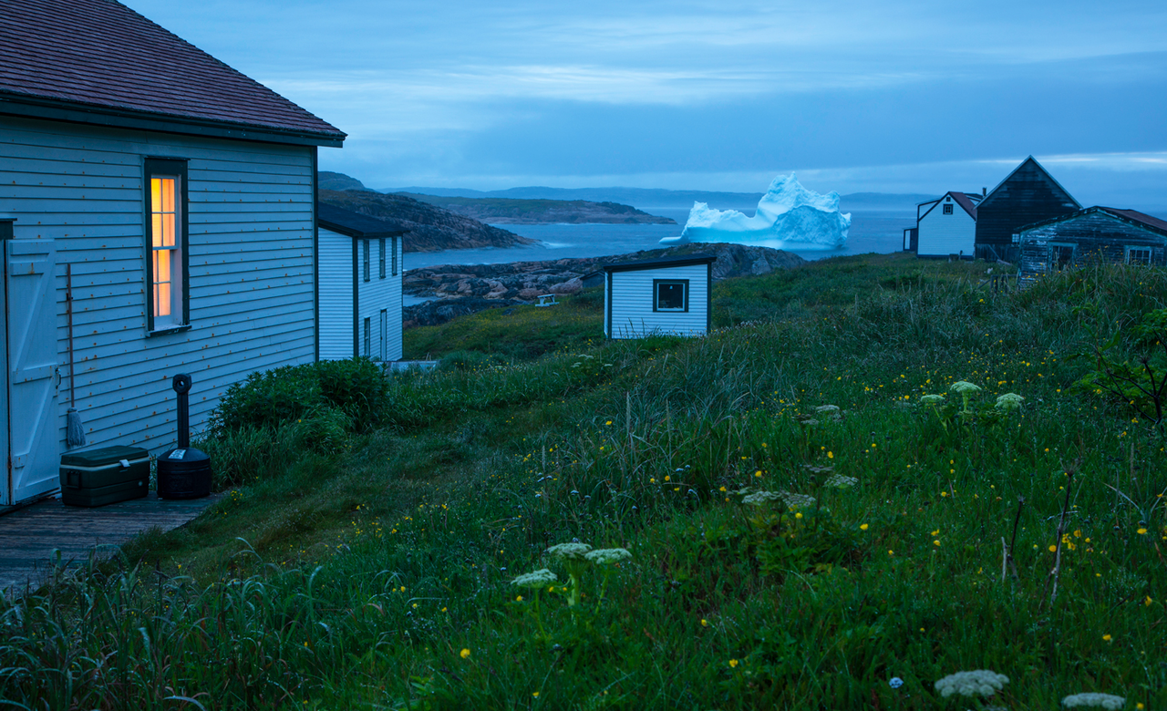 Battle Harbour flowers