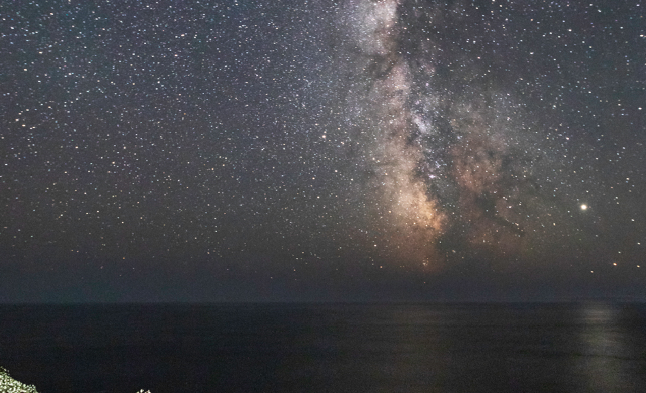 Northern Gannets sleeps under the milky way