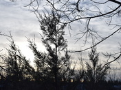 sun down from the park