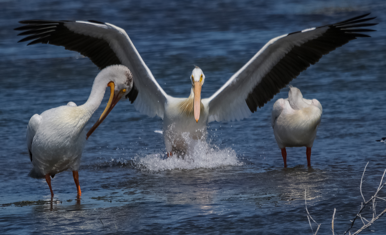 Splash Down
