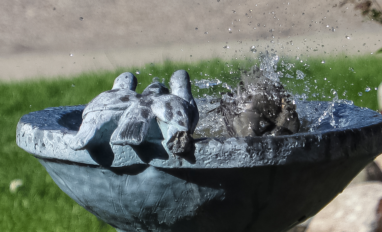 Keep the Water Inside the Tub!