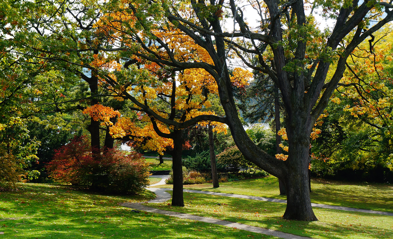 High Park