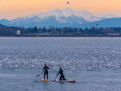 Paddle Boarding the Big Blue