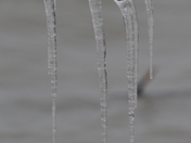 Winter Warlocks grip