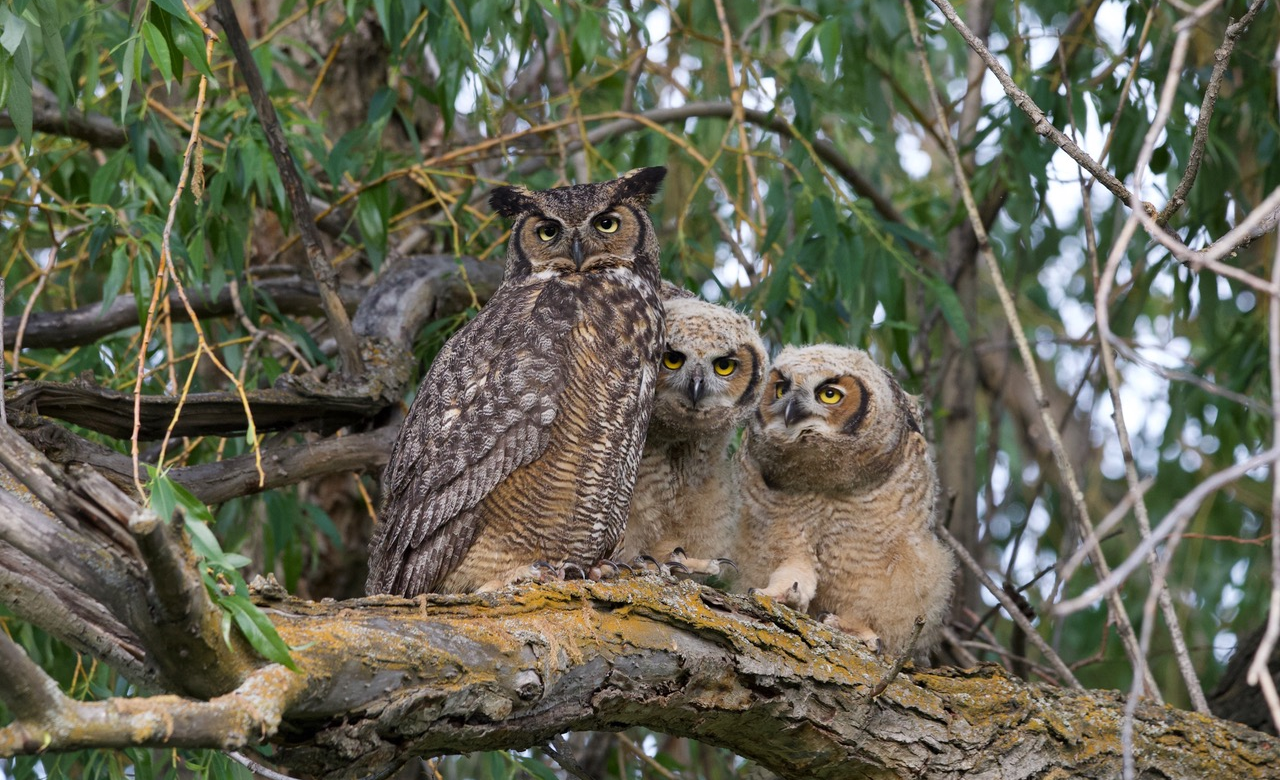 Family Portrait