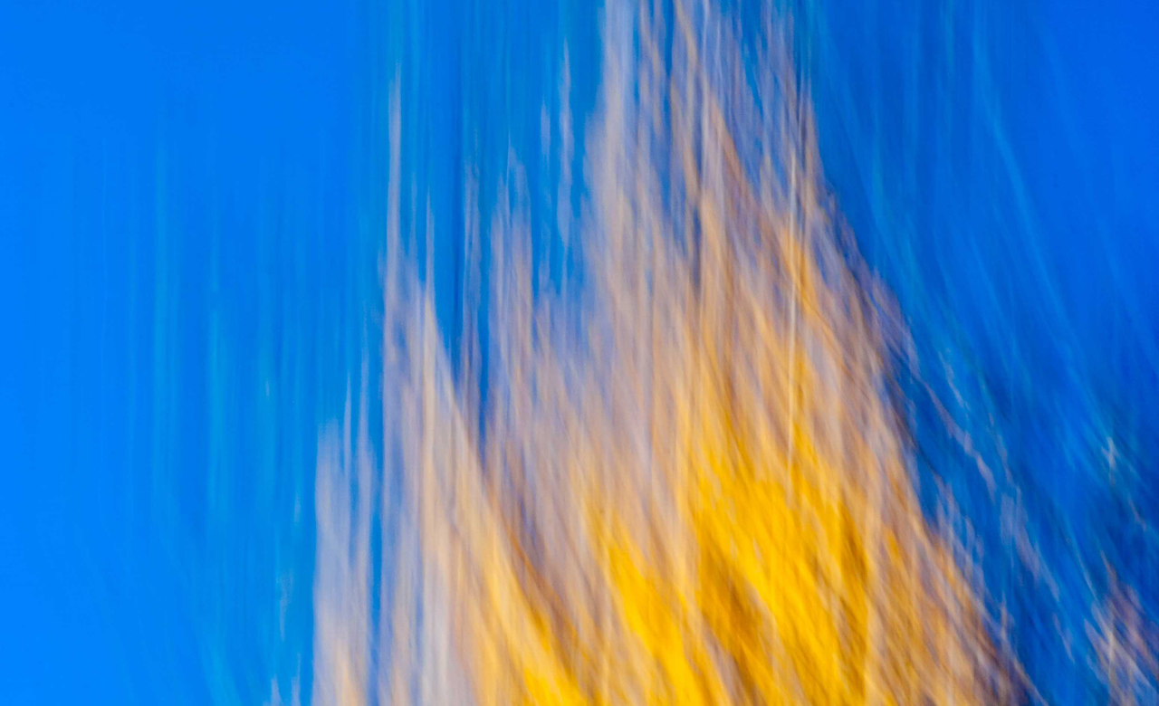 Winds of Autumn