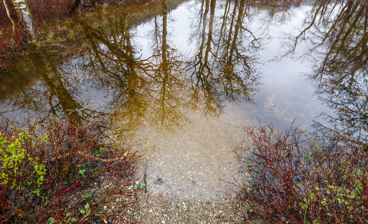 Reflections