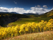 Sheep Valley Fall Colours