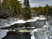 Algonquin Prov Park in Winter