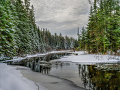 Algonquin Prov Park in Winter