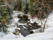 Algonquin Prov Park in Winter
