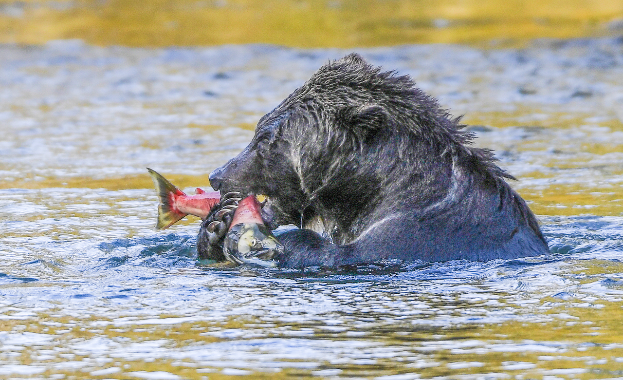 Lunchtime