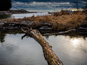 Lake Ontario shoreline