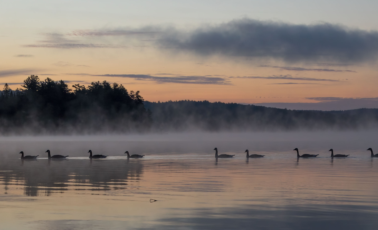 Misty Morning