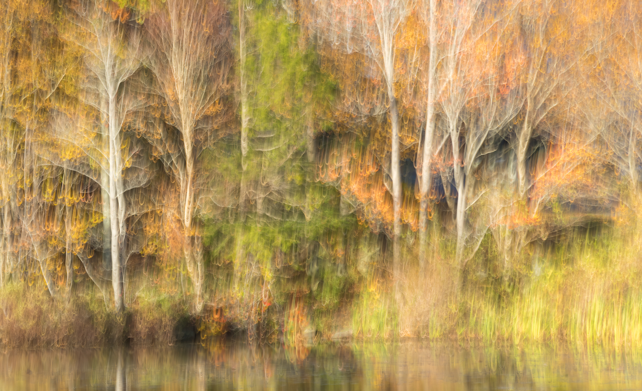 Autumn Colors