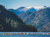 Under the White Whale