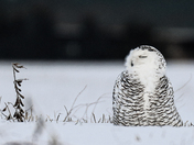 "Yes, I know I look good, so no need to stare"