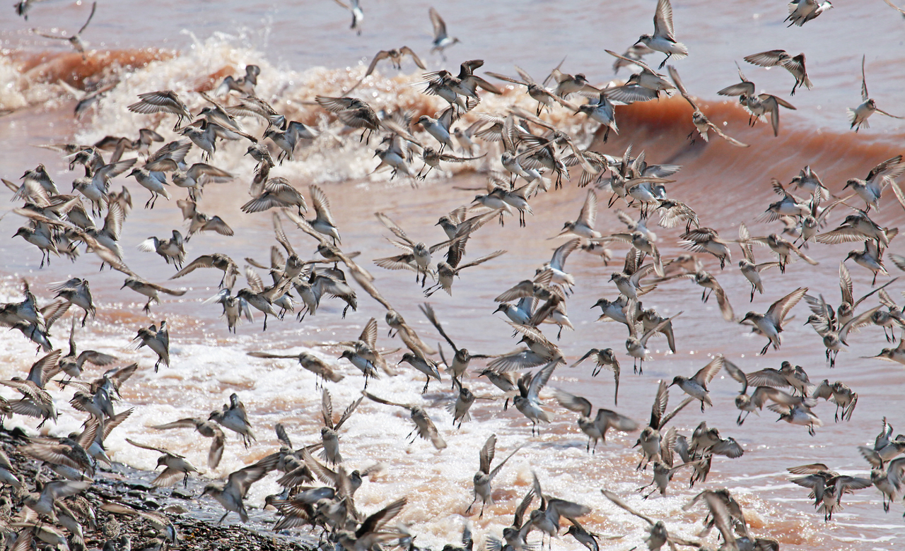 Crowded Airspace