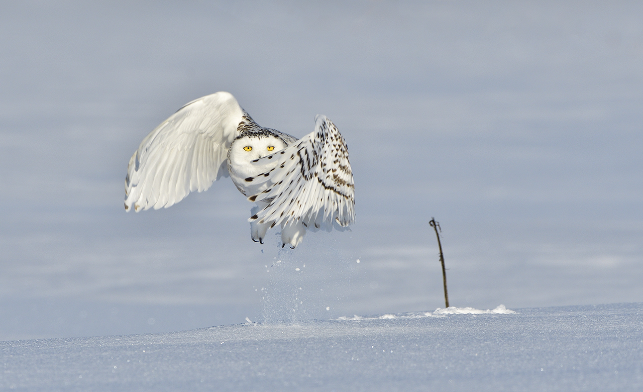  takes off