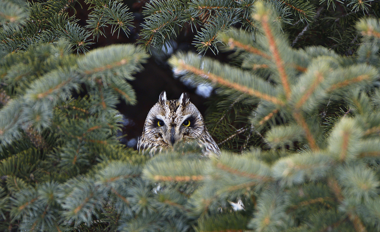  I am looking at you