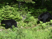 The chase is on â¤