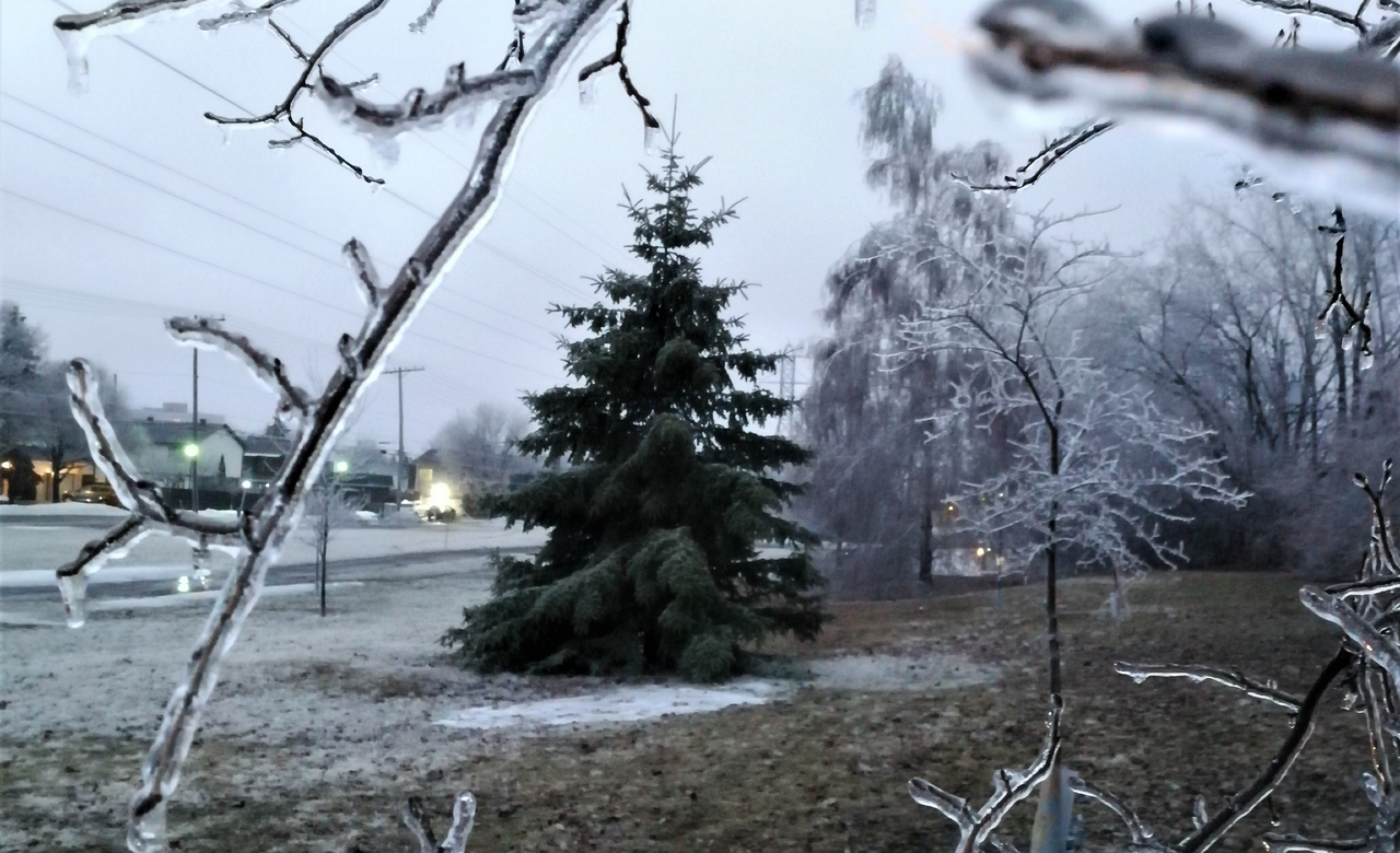 April Freeze