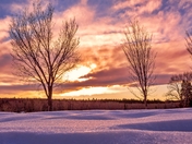 Sunset Snow