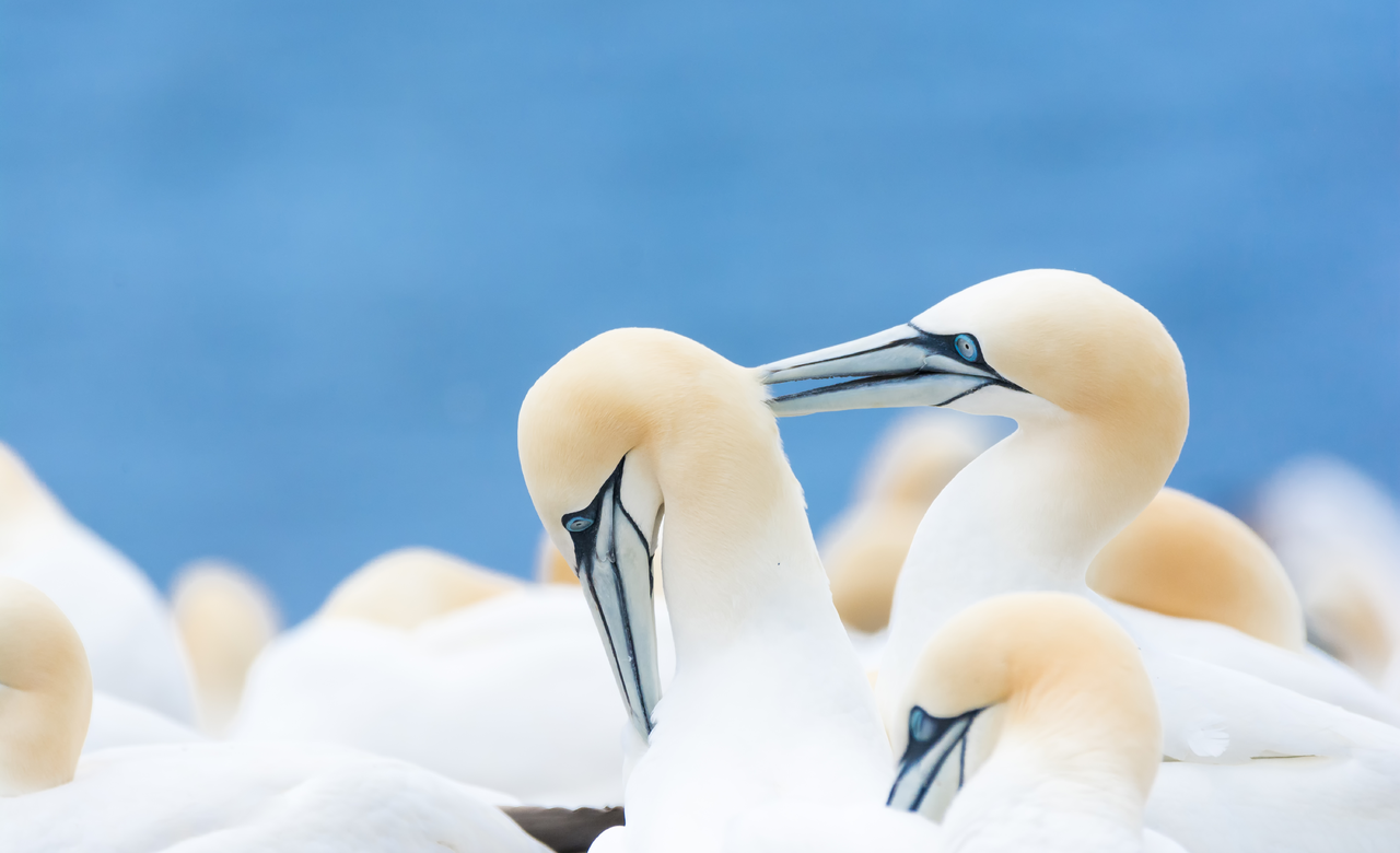 Caring for each other