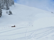 The pure white world