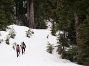 Hiking In The Back Country