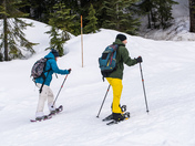 Snowshoeing The Back Country