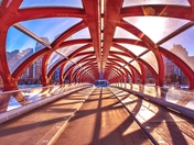 Sunlit Peace Bridge