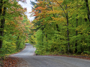 Autumn Road