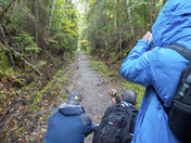 Photographing Spruce Grouse