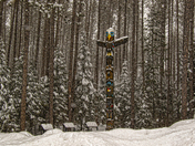Algonquins Totem Pole